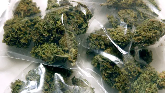 بھنگ کے قانونی قرار دیے جانے کی سب سے زیادہ مخالفت بچوں کے ہسپتالوں، تجارتی تنظیموں اور کسانوں نے کی تھی