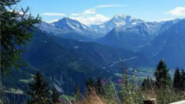 (图片来源：Lucy Marcus）