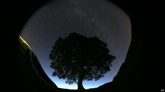 stars, shower,palisades