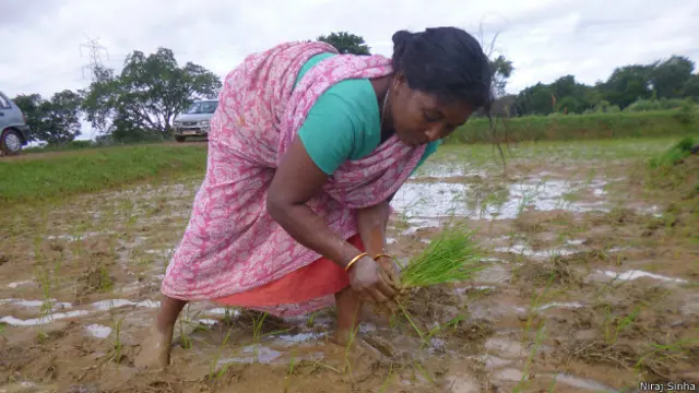 रूपनी तिड़ू