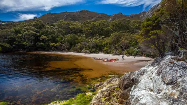 Cắm trại gần vũng Camble Cove (Hình: Dan Broun)