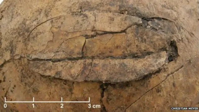 اجتماعی قبر سے ملنے والے ڈھانچوں کی کھوپڑیوں پر زخم کے نشانات ہیں