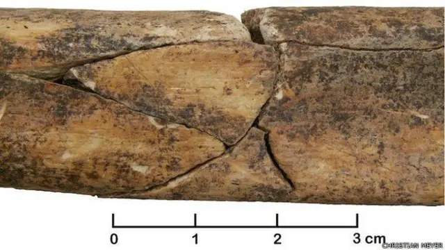 تقریباً تین تہائی ڈھانچوں کی پنڈلیوں کی ہڈیاں ٹوٹی ہوئی ہیں