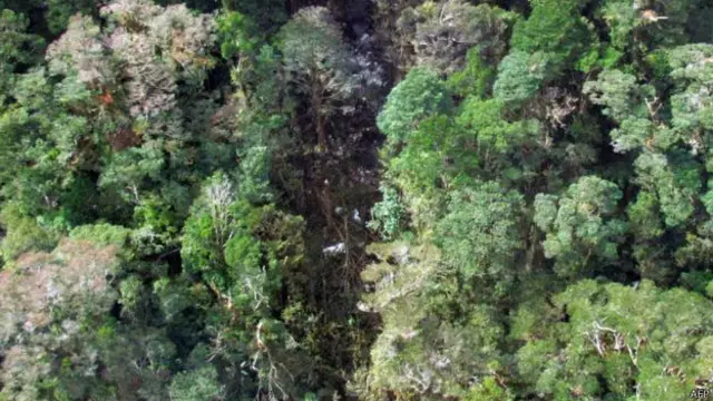 امدادی ٹیم نے اس علاقے کی تصویر لی ہے جہاں اتوار کو طیارہ گر کر تباہ ہو گیا تھا