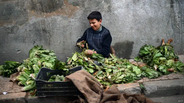 अलेप्पो