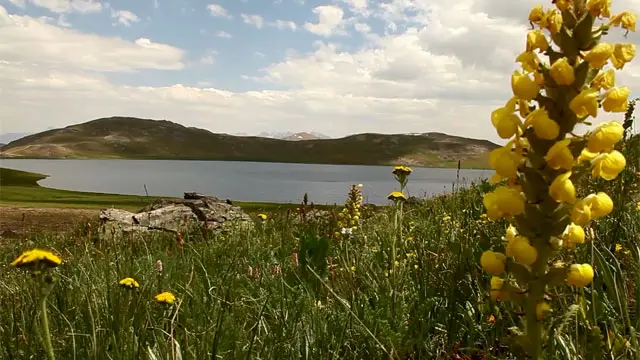 دیوسائی مقامی زبان کا لفظ ہے جس کا مطلب ہے ’دیوتاؤں کا گھر‘