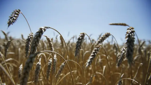 Україна покращила місце у Doing business