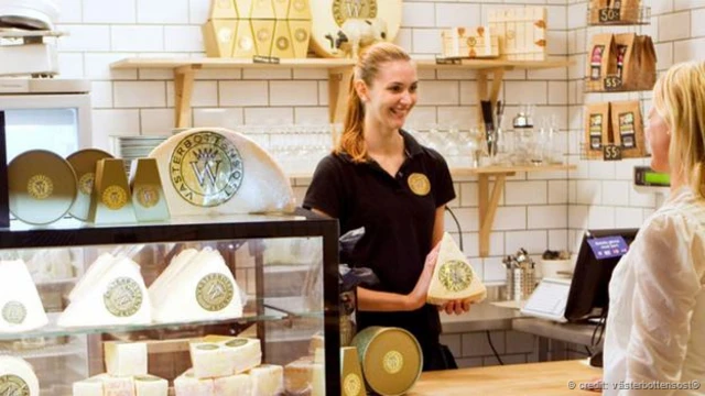 Queso Västerbottensost