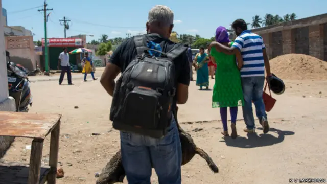 आवारा कुत्तों की समस्या