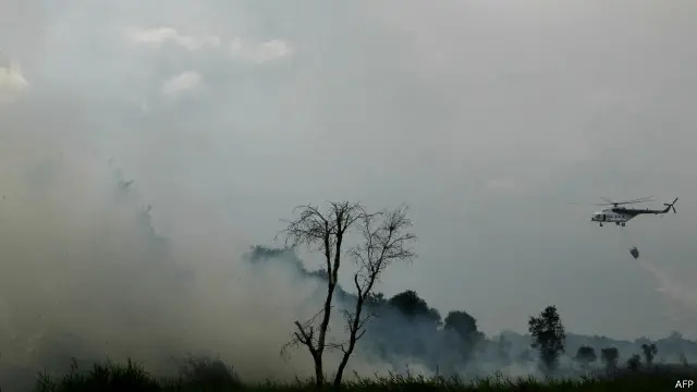 Penyidik sudah memasang garis polisi di lahan-lahan yang menjadi sumber kabut asap.
