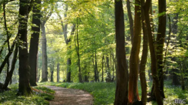 Si miras a tu alrededor, verás que a la vida no le ha ido tan mal en nuestro planeta. 