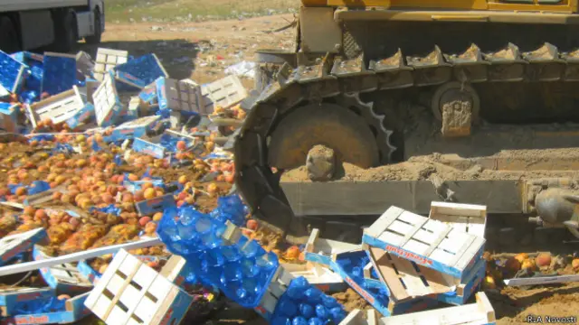 Уничтожение персиков