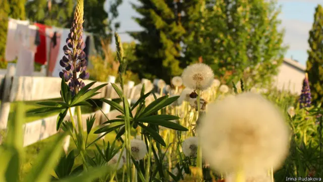 Ирина Рудакова