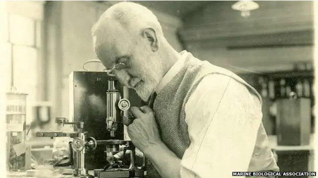 সাগরে ভেসে আসা বোতলে পাওয়া গেলো ১০৮ বছরেরও পুরনো বার্তা!