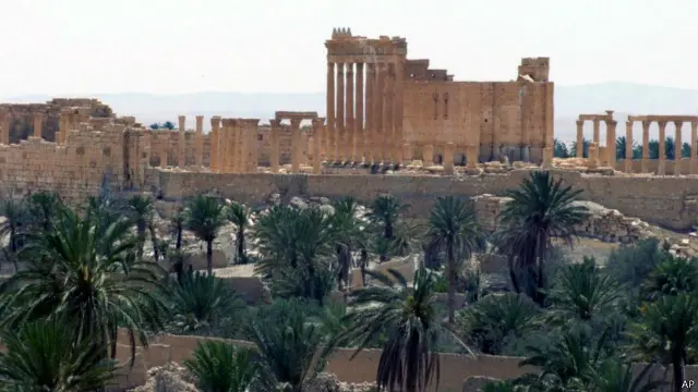 Palmyra