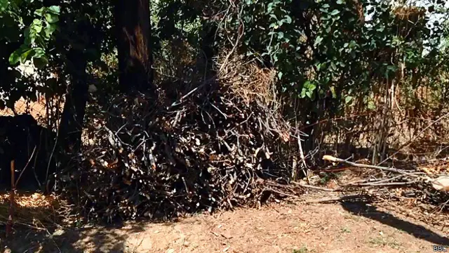Bəzi ailələr deyir ki, imkansızlıqdan qaz pulunu ödəyə bilməyəndə odun yandırmalı olurlar