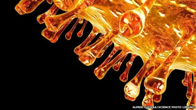 Вирус гриппа