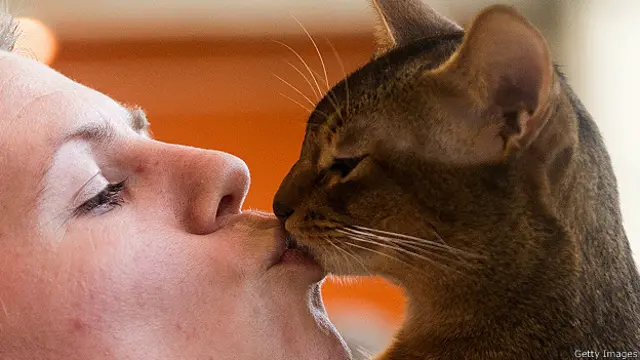 Любовь к животным толкает британцев на разные чудачества