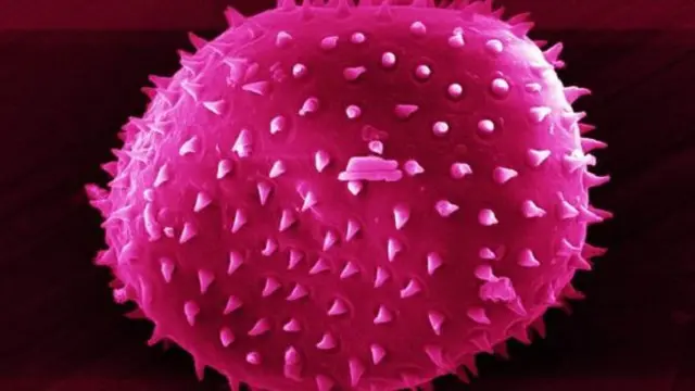 حاول الباحثون اكتشاف كيفية تنوع الجراثيم في المنازل المختلفة