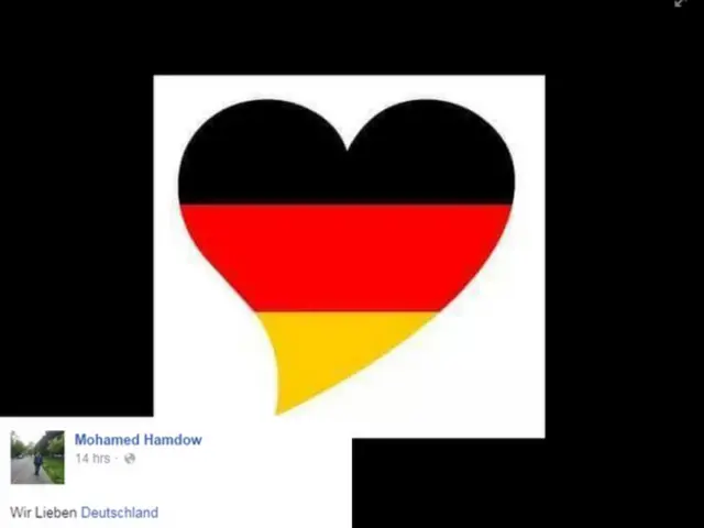 Bu şəkildəki görüntülər sosial mediada yayılan postlara bir nümunədir. Mesajda “Biz Almaniyanı sevirik” deyilir