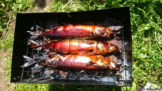 Копченая скумбрия