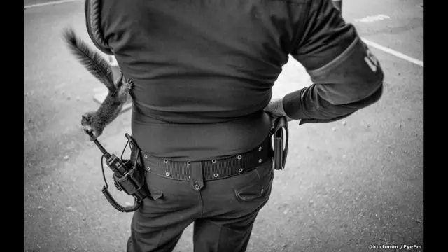 चीज़ेल, नाटावूट पीएनपुन्यारुक