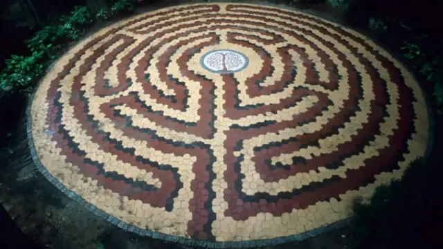 El "Mosaico del árbol de la vida", de Fisher