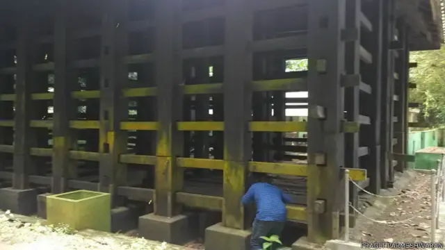 हाथियों का पिंजड़ा 'क्राल'