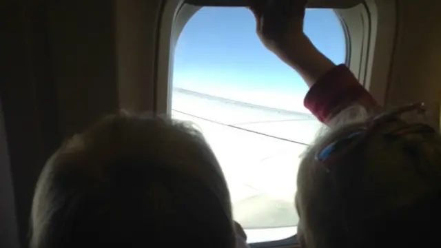 Дети смотрят в иллюминатор самолета