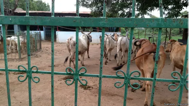 ब्रह्मकुमारी आश्रम