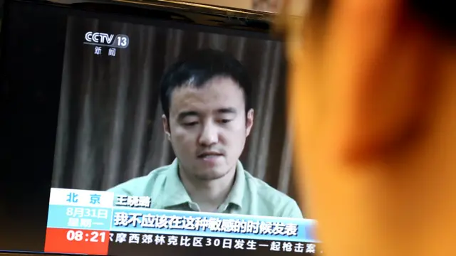 中国央视播出王晓璐采访（31/8/2015）