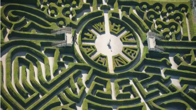 布倫海姆宮裏的人造植物迷宮