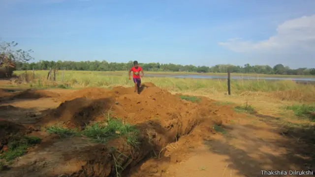 'කෙසෙල්, කවුපී, රටකජු වගාවන කරලා තිබුණා. දැන් ඒවා වේලිලා යනවා දකින කොට හරිම දුකයි'