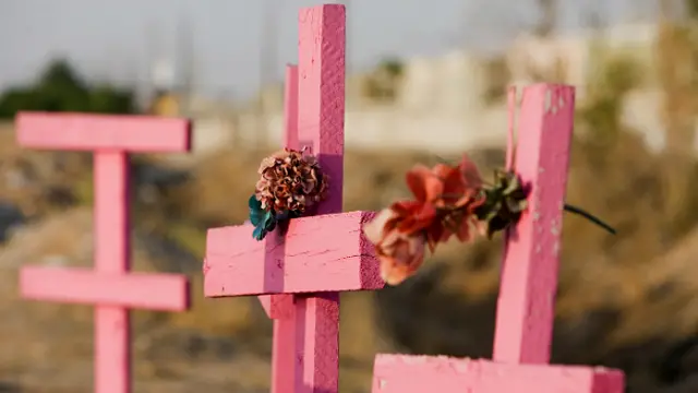 Cruces rosas