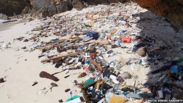 漂浮在海滩上的塑料垃圾