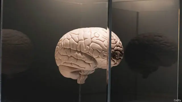 Мозг человека