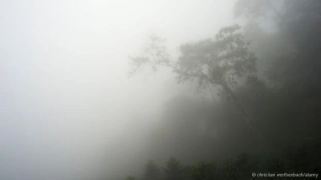 هناك رطوبة شديدة على شمال كولومبيا أيضا