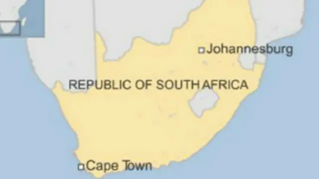 Un total de quarante neuf singe sauvés par Sauvetage International