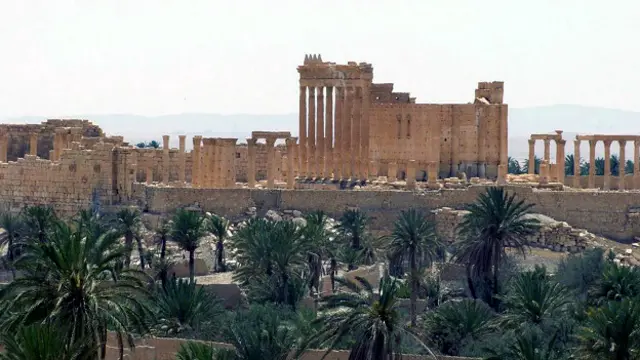 Общий вид Пальмиры