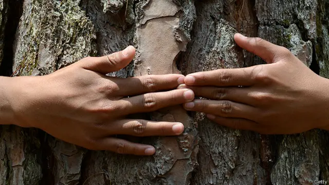 चिपको आंदोलन