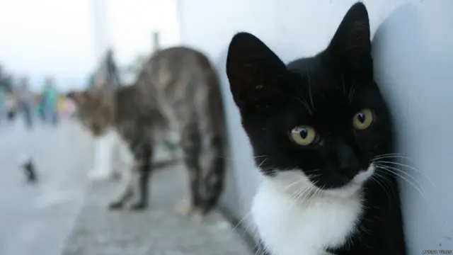 Aynur Tekin'in fotoğrafı