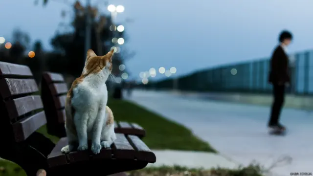 Ömer Diyelim'in İstanbul'da Maltepe Sahili'nde çektiği fotoğraf 
