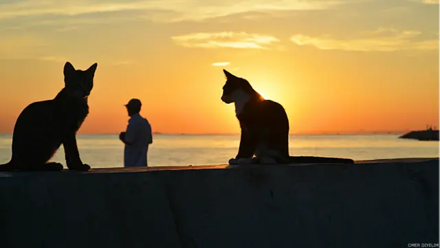 Yine Ömer Diyelim'in İstanbul'da bu kez Bostancı Sahili'nde çektiği fotoğraf. 