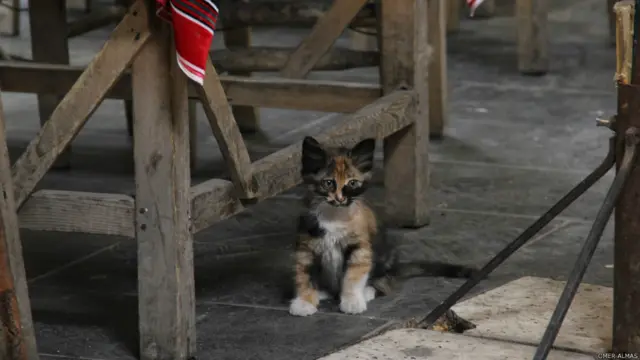  Ömer Almas- Tarihi Gümrükhanı-Şanlıurfa 
