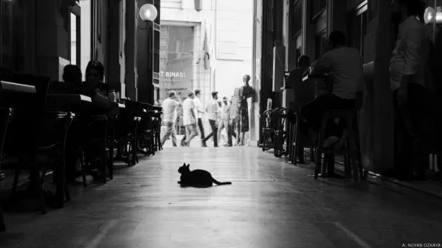 A. Noyan Özkaya: Suriye Pasajı - İstiklal Caddesi, İstanbul