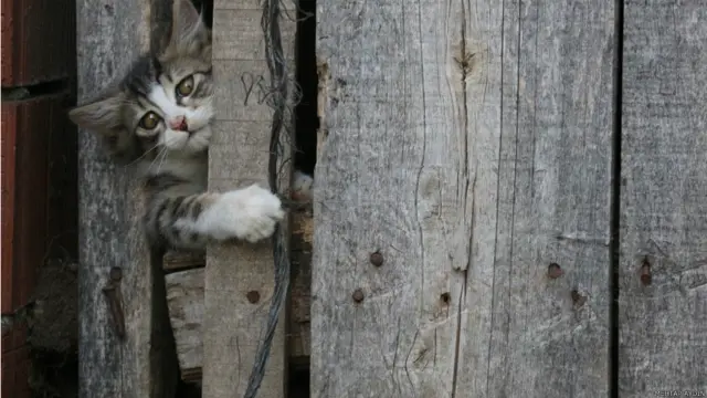 Mehtap Aydın'ın fotoğrafı 