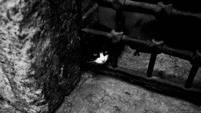 Volkan Hancıoğlu'nun İstanbul-Eminönü'nde çektiği fotoğraf 