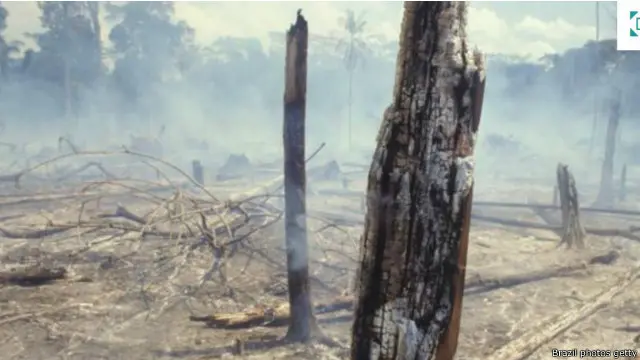 يمكن بالفعل مشاهدة تكلفة الإفراط في استغلال موارد الأرض
