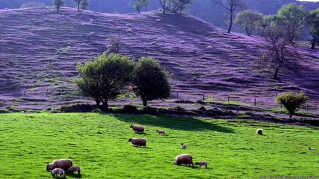Pada tahun 1998 Antrim ditetapkan sebagai Area of Outstanding Natural Beauty -Kawasan Kecantikan Alam Yang Luar Biasa. Sembilan lembah Antrim ini mendapatkan wujudnya seiring pembentukan gletser sepanjang perbukitan curam di dataran tinggi kawasan itu selama Zaman Es. Penduduk kota-kota sekitar lembah - Ballycastle, Waterfoot, Cushendun dan Glenarm – kebanyakan keturunan asli Irlandia, orang Ulster dan orang Hebride Skotlandia.