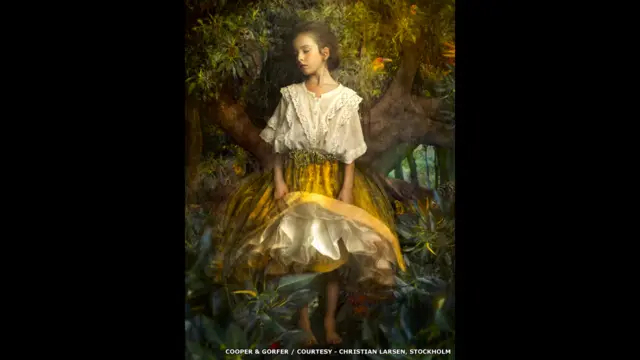 هنرمندان کوپر او ګورفر وايي: "زموږ انځورونه د ۱۸مې او ۱۹مې پېړۍ په منځ کې د هنرونو او عکاسۍ د کیسو په اړه دي". (نیزا او څاروي، ۲۰۱۵، له کریشین لارسن څخه په مننې، سټاکهولم).